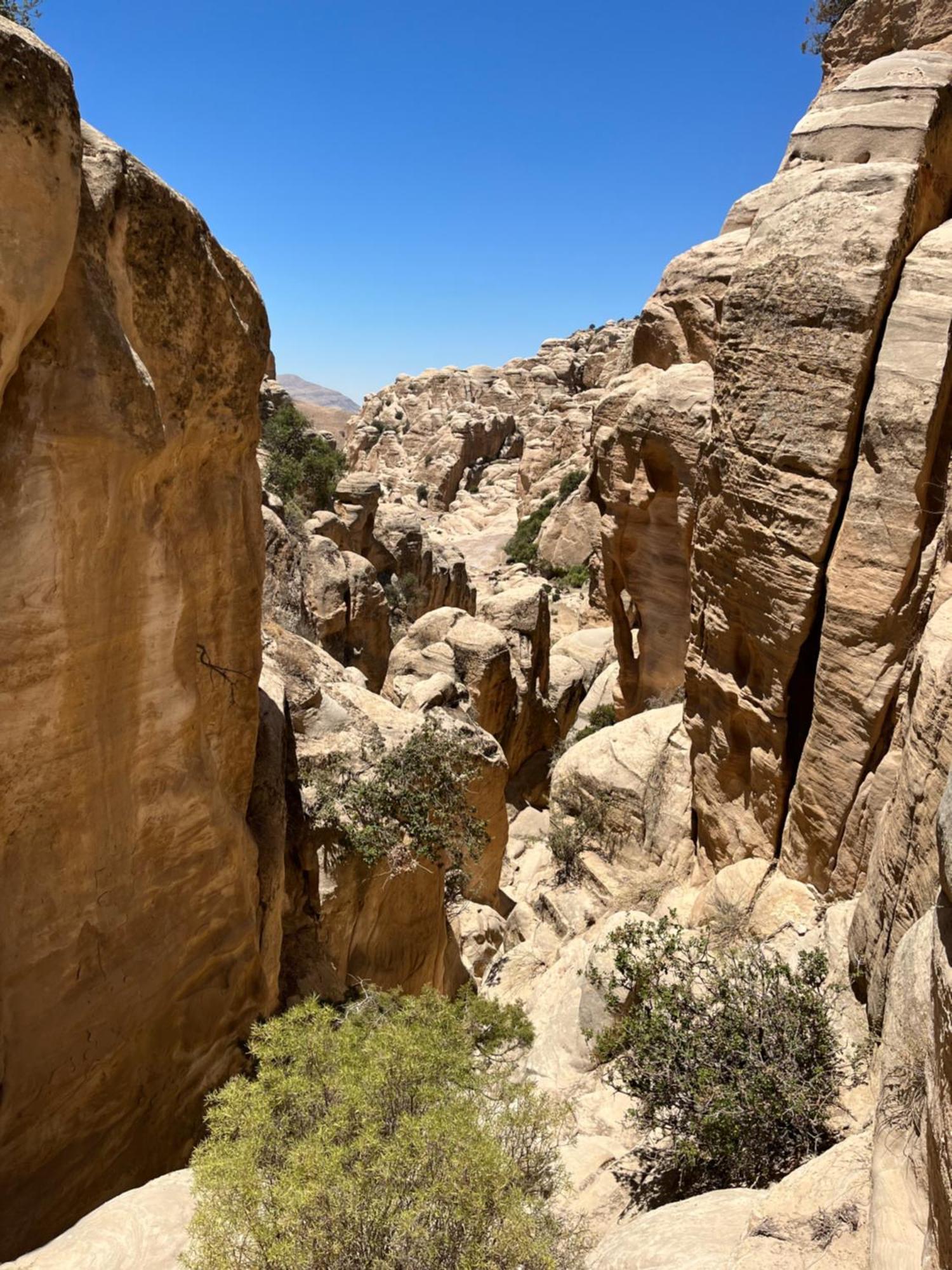 Al-Nawatef Eco Camp- Dana Nature Reserve Exterior foto