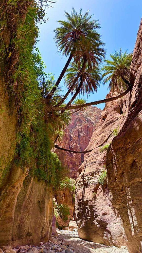 Al-Nawatef Eco Camp- Dana Nature Reserve Exterior foto